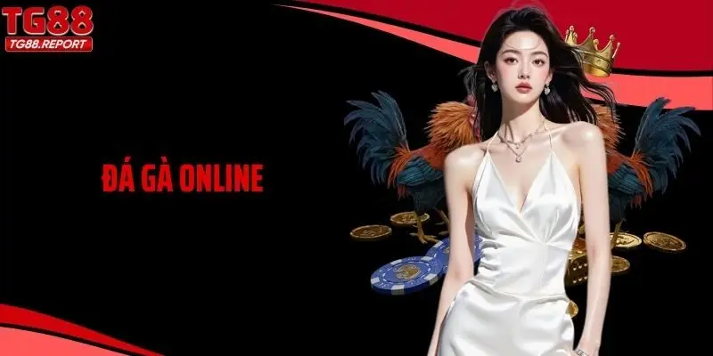 Đá Gà Online Có Gì Đặc Biệt Mà Được Nhiều Người Quan Tâm?